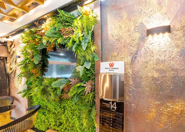 Hotel White Corner 3*