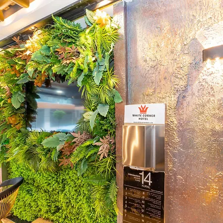 מלון White Corner 3*